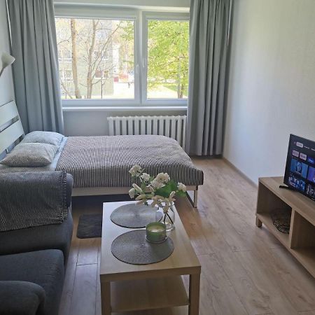 Modern Studio Debreceno, Self-Check-In, Free Parking Klaipėda Exteriér fotografie