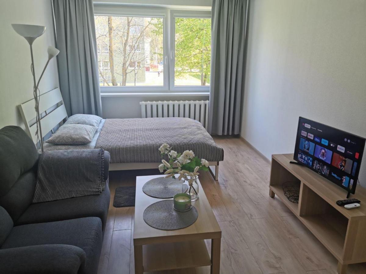 Modern Studio Debreceno, Self-Check-In, Free Parking Klaipėda Exteriér fotografie
